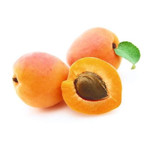Organic Apricot Paraj Organics