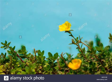 There's literally over 100 ways to make ios on your iphone genuinely unique, some of which are hiding in plain sight. Free download Common Electrical Problems You May Experience Before Winter Ends 3500x2625 for ...