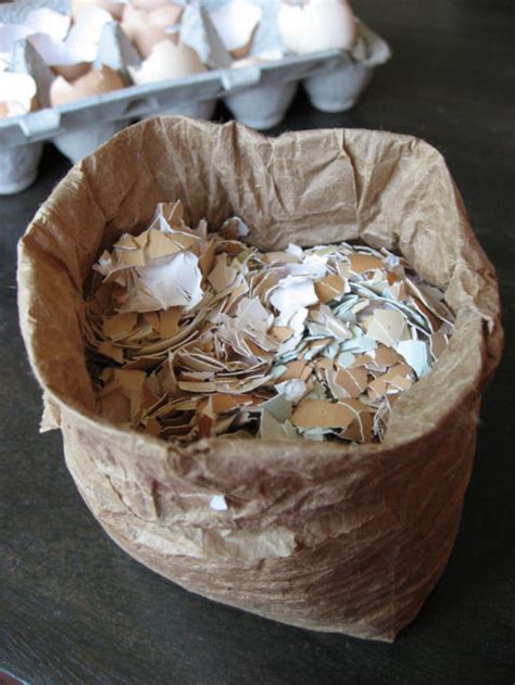 Slugs, cutworms, and other insects are put off by the crunch when they crawl over the sharp edges and will leave for softer. 16 Genius Garden Hacks That Turn Trash Into Treasure