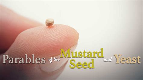 Parables Of The Mustard Seed And Yeast Foothills Umcs Service On 7