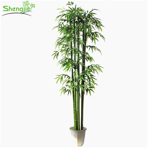 It is currently in some kind of gel that absorbs water and covered with a sprinkling of tiny gravel. China Evergreen Indoor Artificial Plastic Lucky Bamboo ...