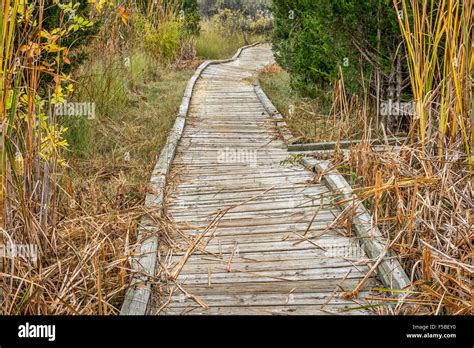 Winding Nature Trail Wooden Boardwalk Path Through Wetlands In A Fall