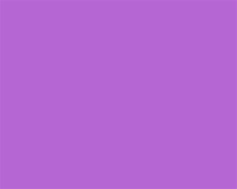 42 Purple Lilac Wallpapers Wallpapersafari