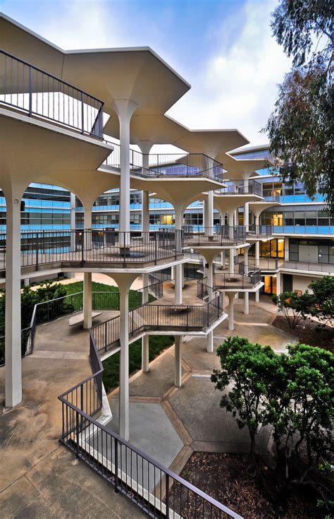 How do you make order out of chaos? Gallery of UCSD: A Built History of Modernism - 9