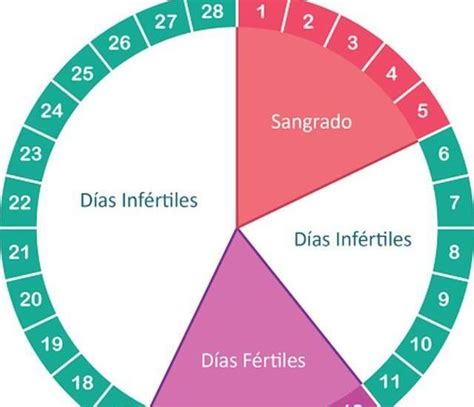 Tabela De Ciclo Menstrual Sa De Vida Total Ciclo Menstrual Tabela