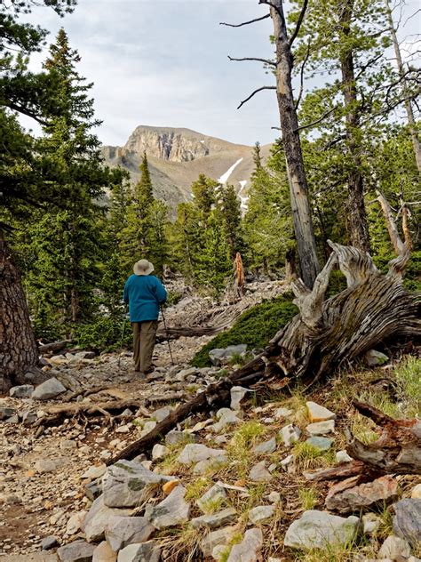 Great Basin National Park Bristlecone Glacier Trail Whee Flickr