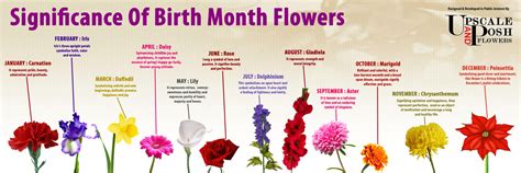 In a educational sense, flower characteristics such as appearance, color, and scent, have relevance as gifts, just like birth stones. Birth Month Flowers | Visual.ly