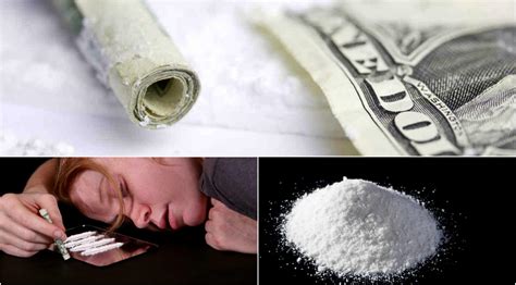 Características De La Cocaína Y Su Tratamiento Salud Mental