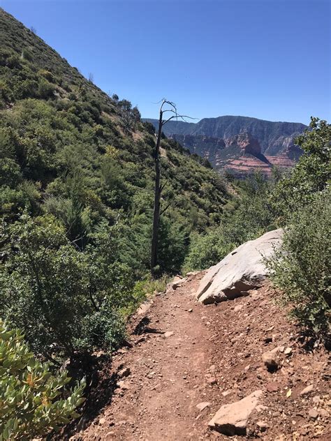 Wilson Mountain Peak Trail - Arizona | AllTrails
