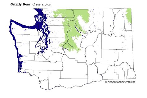 29 Grizzly Bear Range Map Online Map Around The World
