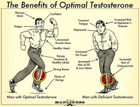 Low Testosterone Symptoms Causes Effects And Treatment Male Health Review