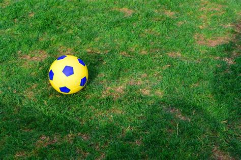 Soccer Ball On Grass Stock Photo Image Of Exercise Throw 75590896