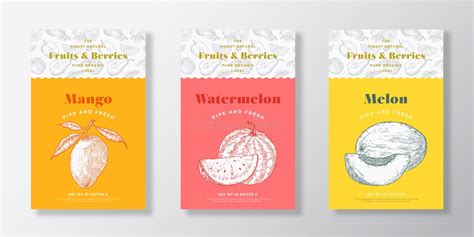 Fruits And Berries Pattern Label Templates Set Vector Packaging Design