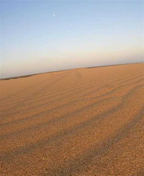 Imperdible Tour Por La Guajira Explora Las Dunas De Taroa