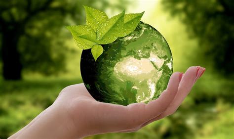 Green, social and sustainability bonds to reach $400 billion in 2020 ...