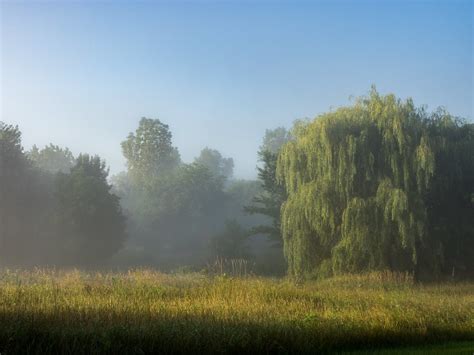 Foggy Meadow Fog Rising Out Of A Meadow In Vandercook Lake Flickr
