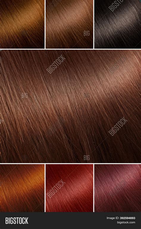 Color Chart Tints Image And Photo Free Trial Bigstock