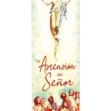 Ascension Rise To Heaven Banner Diocesan