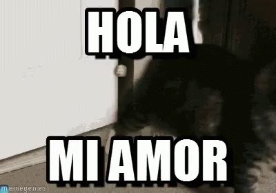 Total Imagen Hola Amorcito Gif Abzlocal Mx