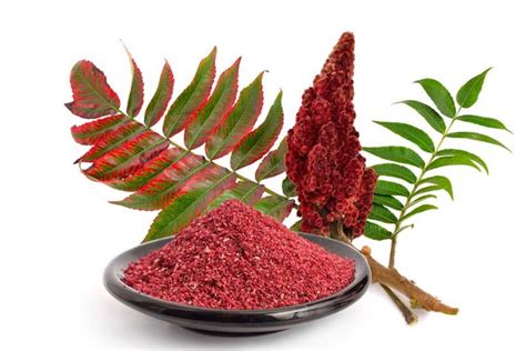 Sumac Is A Spice Made From The Dried Berry Of A Wild Bush Called Rhus
