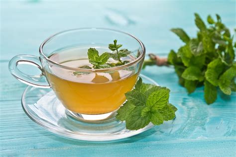 SCIENCE BACKED MINT TEA HEALTH BENEFITS Eldo Tea