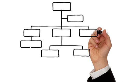 Best Organization Chart Stock Photos Pictures And Royalty Free Images