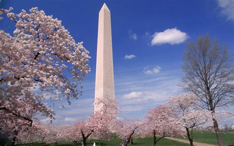 Many have asserted joe biden's purported victory is illegal and i declare unto you that donald trump is going to remain the president of the united states of america. Walking guide to Washington DC's great monuments - with map