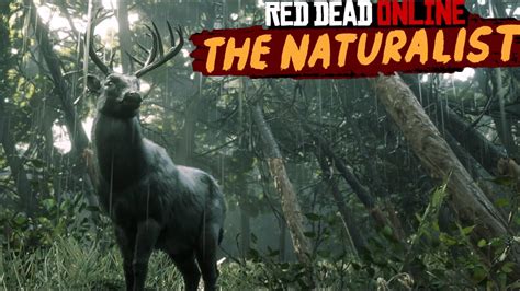 Buck is a pamphlet found in red dead online. Red Dead Online - Transform Into An Animal, New Legendary ...