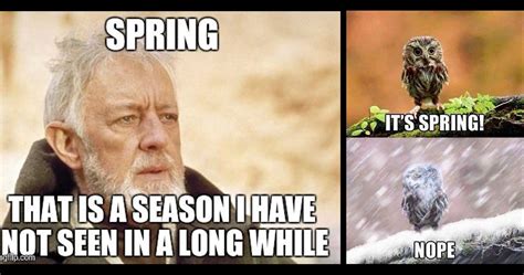 15 Memes That Accurately Sum Up Waiting For Spring Thethings