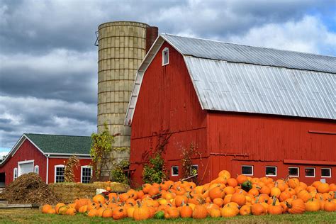 Red Barn And Pumpkins Photograph By Gej Jones Fine Art America