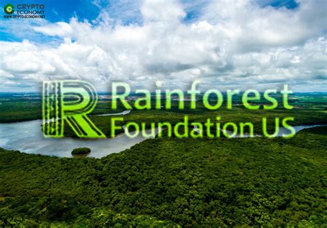 Rain Forest Foundation Sends Its Appeal To The Crypto Community To Help