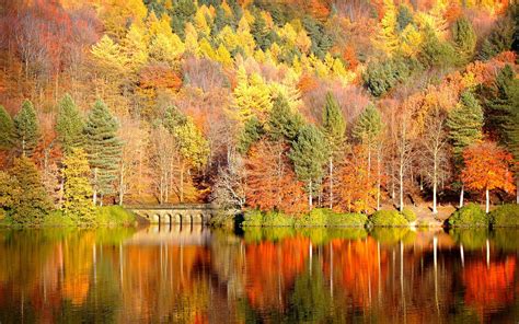 🔥 Free Download Beautiful Autumn Desktop Wallpaper New Hd Wallpapers