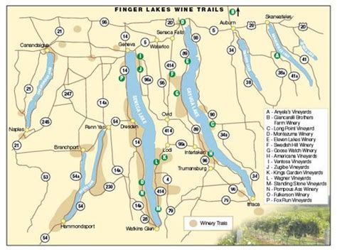 Wine Trail Finger Lakes Ny Wine Tour