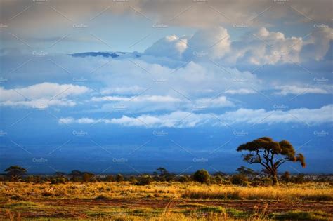African Savanna Landscape Containing Amboseli National And Park