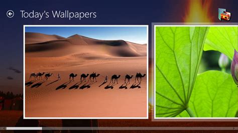 Microsoft Daily Wallpaper Today Wallpapers Bing