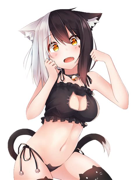 Hot Anime Cat Girl Neko Render Free By Artclubcity On