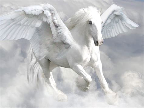 كائنات اسطورية الحصان المجنح Pegasus قصر الاسرار