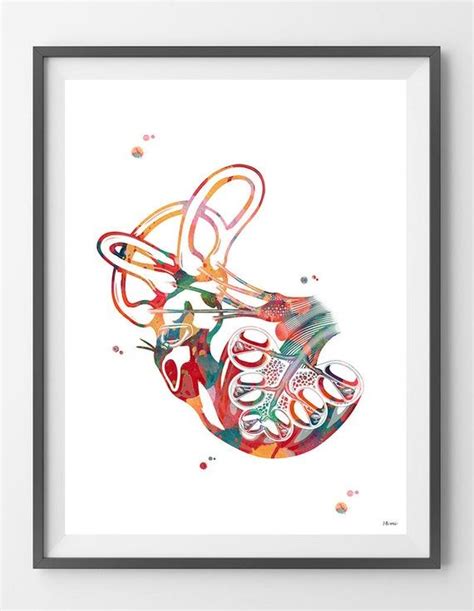 Multiple choice questions and answers on cartilages mcq Cochlea of Inner ear watercolor print anatomy art ...