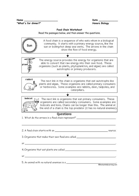 We did not find results for: Food Chain and Food web Worksheets