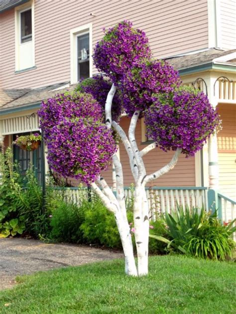 40 Beautiful Flowering Trees Ideas For Yard Landscaping Front Yard
