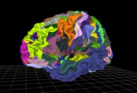 Multilevel Brain Atlases Provide Tools For Better Diagnosis Of