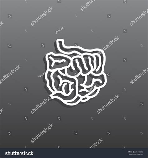 Small Intestine Icon Vector Stock Vector 525760015 Shutterstock