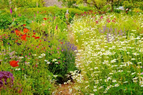 Expert Tips For Designing A Meadow English Garden Design Meadow