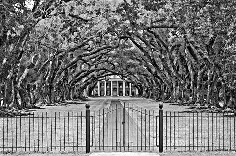Gateway To The Old South Bw Photograph By Steve Harrington Fine Art