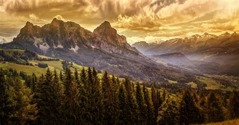 Mountains Forests Scenery Nature Wallpaper 9890x5195 991790