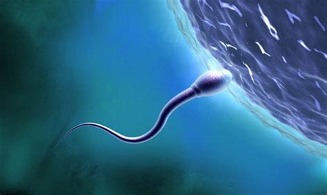 Whats Killing Your Sperm Count Daily Mail Online