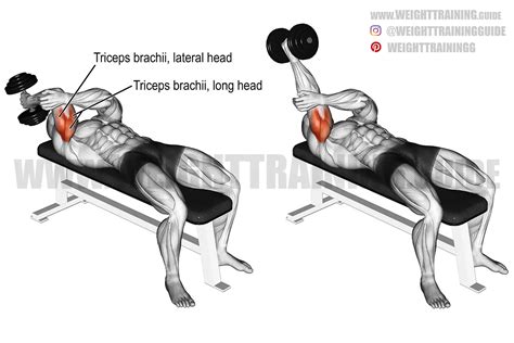 One Arm Tricep Extension Dumbbell Off 74