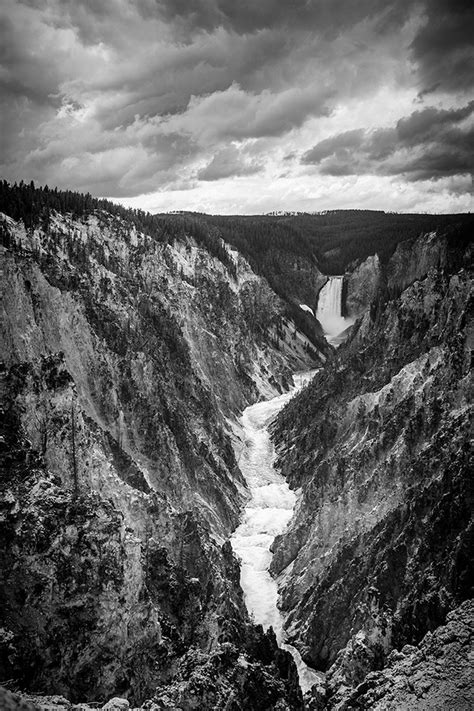 Witness The Beauty Of Yellowstone National Park