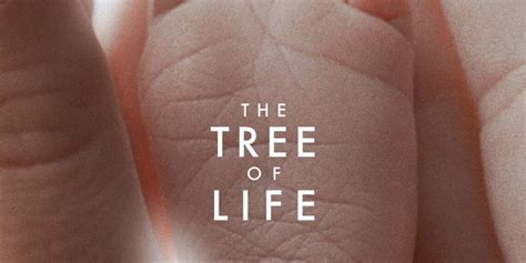 The Tree Of Life Review Finding Meaning In Creation Fortress Of