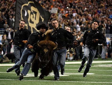 Colorado Buffaloes Appearance In Alamo Bowl Marks First Road Trip For